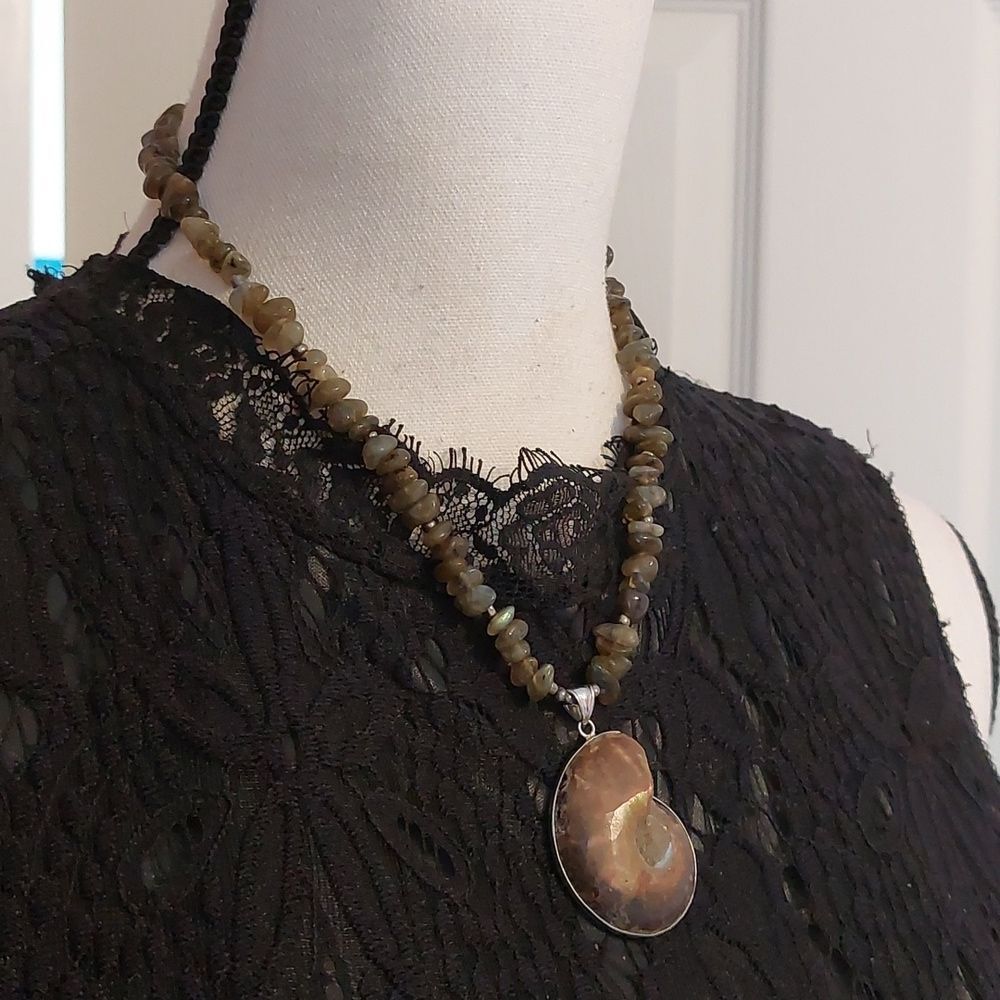 Ammonite Fossil Flashing Labradorite And Ancient … - image 2